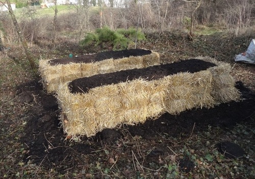 Jardin: la culture sur botte de paille