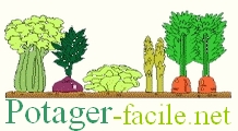 Le potager facile